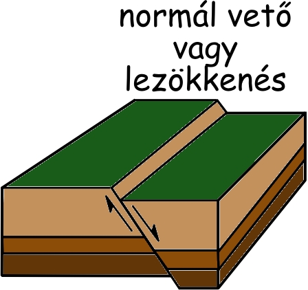 Normál vető