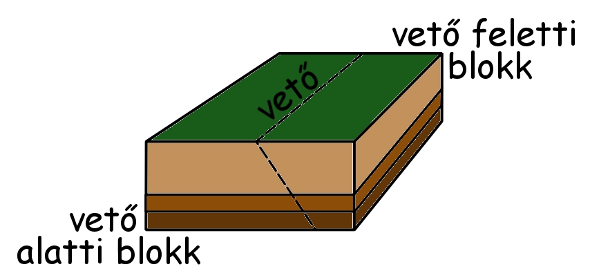 Vető